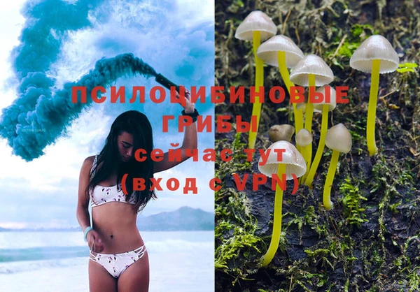 скорость Аркадак