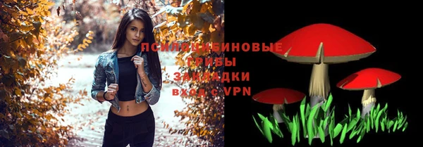 ГАЛЛЮЦИНОГЕННЫЕ ГРИБЫ Арсеньев